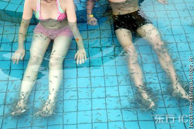 fish spa